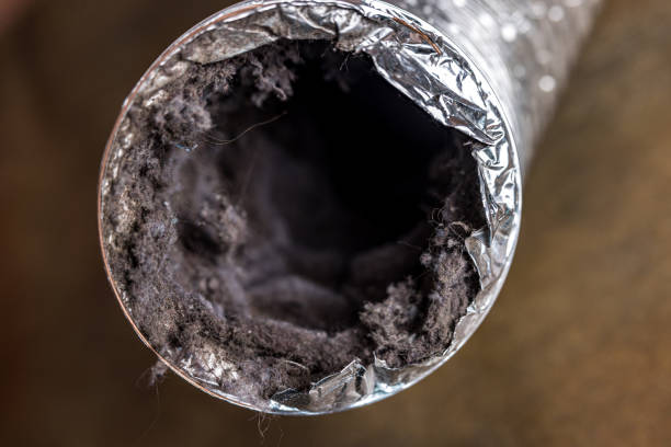 Best Air Duct Cleaning Near Me  in Reedsburg, WI